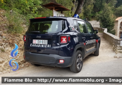 Jeep Renegade 
Carabinieri
Seconda Fornitura
CC DV 650
Parole chiave: Jeep Renegade CCDV650