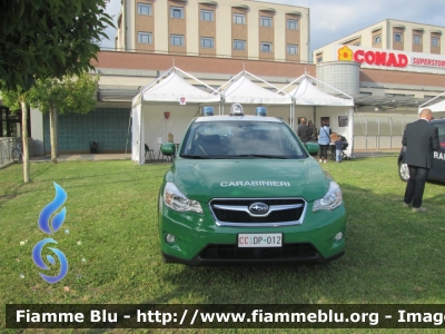 Subaru XV I serie
Carabinieri
Comando Carabinieri Unità per la tutela Forestale, Ambientale e Agroalimentare
CC DP 012
Parole chiave: Subaru XV_Iserie CCDP012