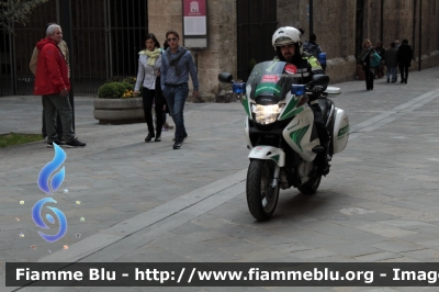 Honda Deauville III serie
Polizia Municipale di Brescia
POLIZIA LOCALE YA 02870
Parole chiave: Honda Deauville_IIIserie POLIZIALOCALEYA02873 1000_miglia_2019