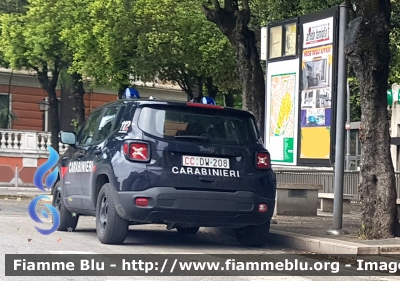 Jeep Renegade restyle
Carabinieri
Allestimento FCA
CC DW 204
Parole chiave: Jeep Renegade restyle CCDW204