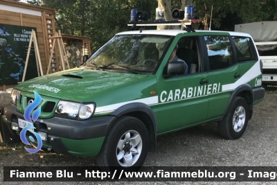 Nissan Terrano II serie restyle
Carabinieri
Comando Carabinieri Unità per la tutela Forestale, Ambientale e Agroalimentare
CC DP 312

Parole chiave: Nissan Terrano_IIserie_restyle CCDP312