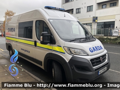 Iveco Ducato X290 Maxi
Èire - Ireland - Irlanda
An Garda Sìochàna
Parole chiave: Iveco Ducato_X290_Maxi