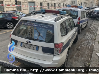 Subaru Forester V serie
Polizia Roma Capitale
Allestimento Bertazzoni
POLIZIA LOCALE YA 647 AJ
Parole chiave: Subaru Forester_Vserie POLIZIALOCALEYA647AJ 