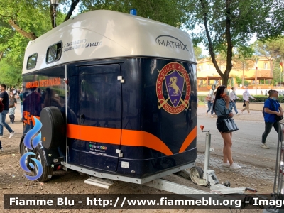 Carrello Trailer Thiel Matrix
Carabinieri
4° Reggimento a Cavallo
Ambulanza Veterinaria
Allestimento SM Trade & Technology
RIMORCHIO CCr BY 741
Parole chiave: Carrello / / / Trailer_Thiel_Matrix / RIMORCHIOCCrBY741