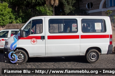 Fiat Ducato II serie
Croce Rossa Italiana
Comitato Provinciale di Roma
CRI 969 AB 
Parole chiave: Fiat Ducato_IIserie CRI969AB