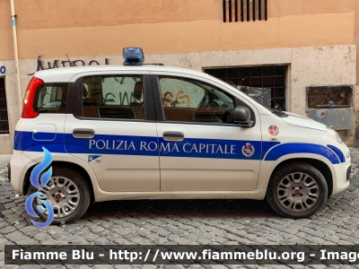 Fiat Nuova Panda II serie
Polizia Roma Capitale
Parole chiave: Fiat / Nuova_Panda_IIserie