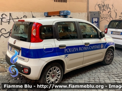 Fiat Nuova Panda II serie
Polizia Roma Capitale
Parole chiave: Fiat / Nuova_Panda_IIserie