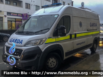 Fiat Ducato X290 Maxi
Éire - Ireland - Irlanda
An Garda Sìochàna
Parole chiave: Fiat Ducato_X290_Maxi