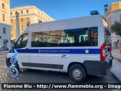 Fiat Ducato X290
Polizia Roma Capitale
Parole chiave: Fiat / Ducato_X290