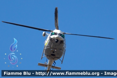 Agusta Bell AB412
Guardia di Finanza
Reparto Operativo Aereonavale
Centro di Aviazione Pratica Di Mare
Volpe 206
Parole chiave: Agusta-Bell / AB412 / GF206