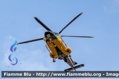 Agusta Westland AW169
Guardia di Finanza
Reparto Operativo Aereonavale
Centro di Aviazione Pratica Di Mare
Volpe 503
Parole chiave: Agusta-Westland AW169 Volpe503