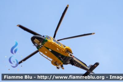 Agusta Westland AW169
Guardia di Finanza
Reparto Operativo Aereonavale
Centro di Aviazione Pratica Di Mare
Volpe 503
Parole chiave: Agusta-Westland AW169 Volpe503