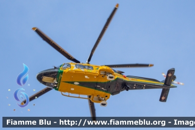 Agusta Westland AW169
Guardia di Finanza
Reparto Operativo Aereonavale
Centro di Aviazione Pratica Di Mare
Volpe 503
Parole chiave: Agusta-Westland AW169 Volpe503