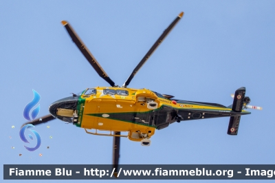 Agusta Westland AW169
Guardia di Finanza
Reparto Operativo Aereonavale
Centro di Aviazione Pratica Di Mare
Volpe 503
Parole chiave: Agusta-Westland AW169 Volpe503