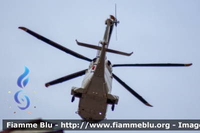 Agusta Westland AW139 VIP
Aeronautica Militare Italiana
31° Stormo
MM81807
Parole chiave: Agusta-Westland AW139_VIP