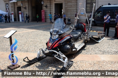 Yamaha Venture Multi Purpose
Carabinieri
Soccorso Alpino
Parole chiave: Yamaha Venture_Multi_Purpose