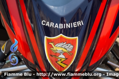 Yamaha Venture Multi Purpose
Carabinieri
Soccorso Alpino
Parole chiave: Yamaha Venture_Multi_Purpose