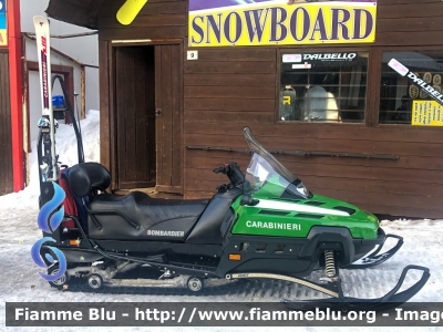 Bombardier Ski-Doo Expedition TUV V-1000
Carabinieri
Soccorso Alpino
Ex Corpo Forestale dello Stato
Parole chiave: Bombardier Ski-Doo_Expedition_TUV_V-1000