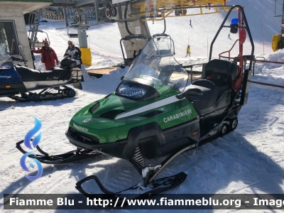 Bombardier Ski-Doo Expedition TUV V-1000
Carabinieri
Soccorso Alpino
Ex Corpo Forestale dello Stato
Parole chiave: Bombardier Ski-Doo_Expedition_TUV_V-1000