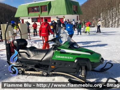 Bombardier Ski-Doo Expedition TUV V-1000
Carabinieri
Soccorso Alpino
Ex Corpo Forestale dello Stato
Parole chiave: Bombardier Ski-Doo_Expedition_TUV_V-1000