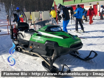 Bombardier Ski-Doo Expedition TUV V-1000
Carabinieri
Soccorso Alpino
Ex Corpo Forestale dello Stato
Parole chiave: Bombardier Ski-Doo_Expedition_TUV_V-1000