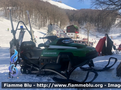 Bombardier Ski-Doo Expedition TUV V-1000
Carabinieri
Soccorso Alpino
Ex Corpo Forestale dello Stato
Parole chiave: Bombardier Ski-Doo_Expedition_TUV_V-1000