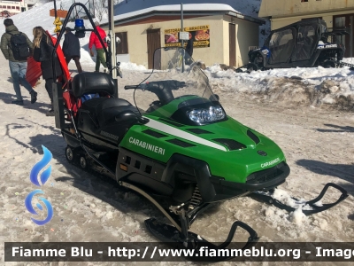 Bombardier Ski-Doo Expedition TUV V-1000
Carabinieri
Soccorso Alpino
Ex Corpo Forestale dello Stato
Parole chiave: Bombardier Ski-Doo_Expedition_TUV_V-1000