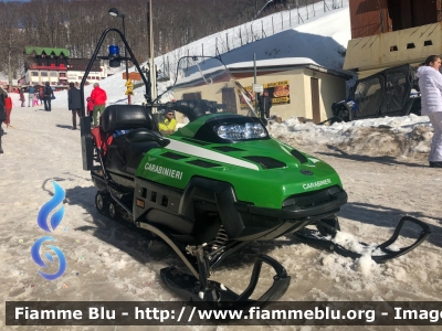 Bombardier Ski-Doo Expedition TUV V-1000
Carabinieri
Soccorso Alpino
Ex Corpo Forestale dello Stato
Parole chiave: Bombardier Ski-Doo_Expedition_TUV_V-1000