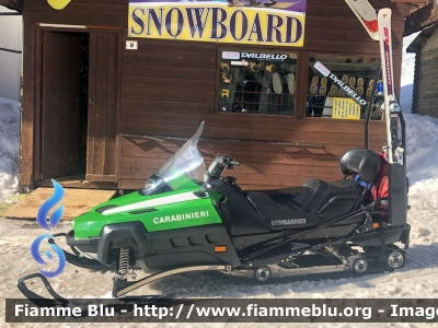 Bombardier Ski-Doo Expedition TUV V-1000
Carabinieri
Soccorso Alpino
Ex Corpo Forestale dello Stato
Parole chiave: Bombardier Ski-Doo_Expedition_TUV_V-1000