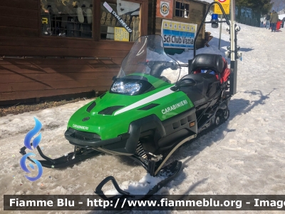 Bombardier Ski-Doo Expedition TUV V-1000
Carabinieri
Soccorso Alpino
Ex Corpo Forestale dello Stato
Parole chiave: Bombardier Ski-Doo_Expedition_TUV_V-1000