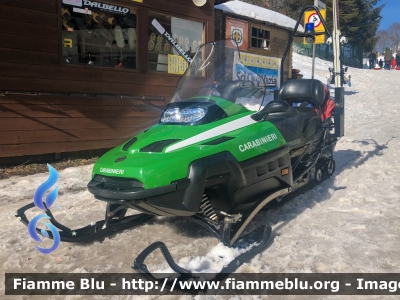 Bombardier Ski-Doo Expedition TUV V-1000
Carabinieri
Soccorso Alpino
Ex Corpo Forestale dello Stato
Parole chiave: Bombardier Ski-Doo_Expedition_TUV_V-1000