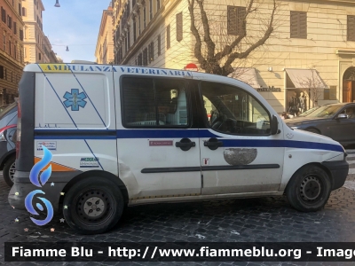 Fiat Doblo' II serie
Comune di Roma Ambulanza Veterinaria
Parole chiave: Fiat Doblo&#039;_IIserie