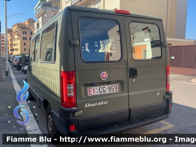 Fiat Ducato III serie
Esercito Italiano
EI CG 959
Parole chiave: Fiat / Ducato_IIIserie / EICG959