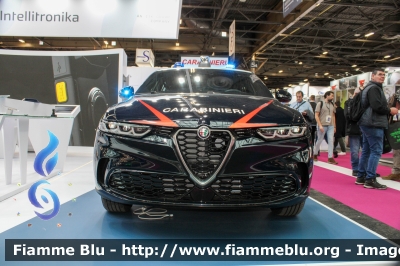 Alfa-Romeo Tonale
Carabinieri
Nucleo Operativo Radiomobile
Allestimento FCA
Esposto alla MILIPOL di Parigi 2023
Parole chiave: Alfa-Romeo Tonale