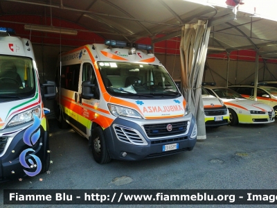 Fiat Ducato X290
P.A. Croce Bianca - Piacenza
Seconda partenza
Allestimento F.lli Mariani.
Parole chiave: Fiat Ducato_X290 Ambulanza