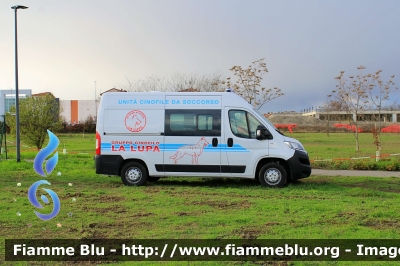 Fiat Ducato X290
Protezione Civile
Regione Emilia Romagna
Gruppo La Lupa
Coordinamento Prov.le di Piacenza
Unità Cinofila
Parole chiave: Fiat Ducato X290