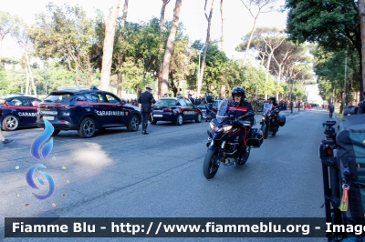 Ducati Multistrada 1260
Carabinieri
Nucleo Operativo Radiomobile
CC A7111
CC A7479

Festa della Repubblica 2023
Parole chiave: Ducati Multistrada_1260  FestadellaRepubblica2023