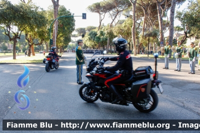 Ducati Multistrada 1260
Carabinieri
Nucleo Operativo Radiomobile
CC A7111
CC A7479

Festa della Repubblica 2023
Parole chiave: Ducati Multistrada_1260  FestadellaRepubblica2023