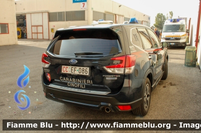 Subaru Forester e-Boxer
Carabinieri
Nucleo Cinofili
Allestimento Cita Sedonda
CC EF 086
Parole chiave: Subaru Forester_e-Boxer CCEF086 Reas_2023