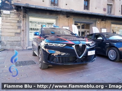 Alfa-Romeo Tonale
Carabinieri
Nucleo Operativo Radiomobile
Allestimento FCA
CC EN 405

Celebrazioni del IV Novembre 2023 a Bologna 
Parole chiave: Alfa-Romeo Tonale CCEN405 IVNovembre2023