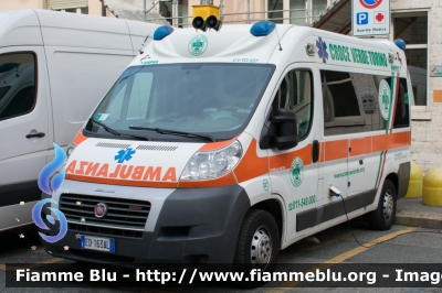 Fiat Ducato X250
Croce Verde Torino
Ambulanza 227
Allestita Bollanti
Parole chiave: Fiat Ducato_X250 Ambulanza