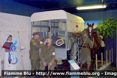 Ambulanza Ippotrainata
Great Britain - Gran Bretagna
British Army 
