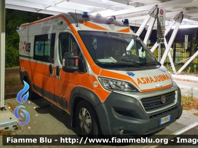 Fiat Ducato X290
118 Ferrara Soccorso
Azienda Ospedaliera Universitaria di Ferrara
Ambulanza "ECHO 03" 
Allestita Aricar
Parole chiave: Fiat Ducato_X290