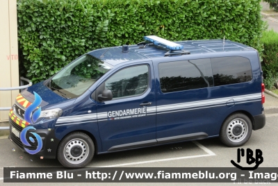 Peugeot Expert IV serie
France - Francia
Gendarmerie Nationale
