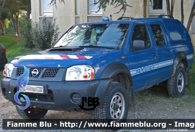 Nissan NP300
France - Francia
Gendarmerie
