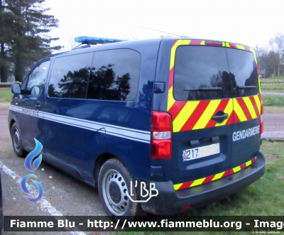 Peugeot Expert IV serie 
France - Francia
Gendarmerie
Parole chiave: Peugeot Expert_IVserie