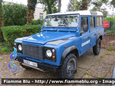 Land-Rover Defender 110
France - Francia
Gendarmerie 
