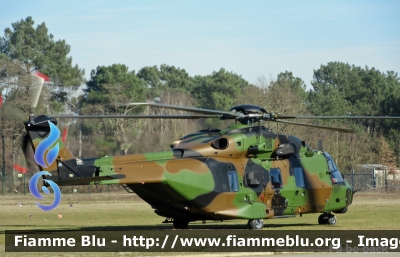 NHIndustries NH90
France - Francia
Armée de Terre
