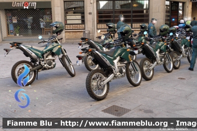 Yamaha XT 660
España - Spagna
Guardia Civil
