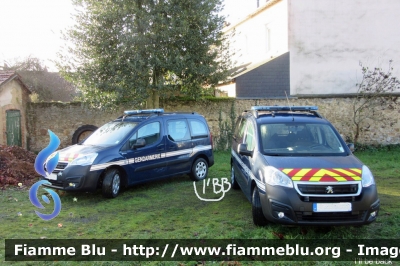 Peugeot Partner Tepee III serie
France - Francia
Gendarmerie
Parole chiave: Peugeot Partner_Tepee_IIIserie